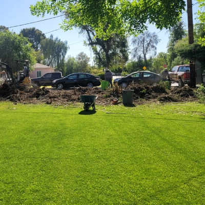 LANDSCAPING